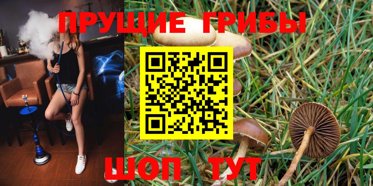 Галлюциногенные грибы GOLDEN TEACHER Кострома