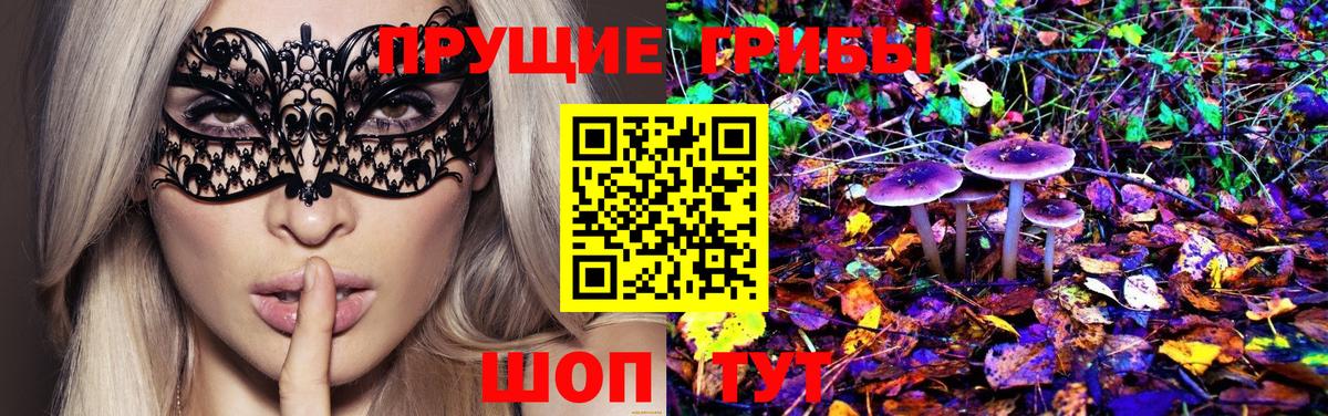 Галлюциногенные грибы MAGIC MUSHROOMS  Вход с VPN  Кострома 